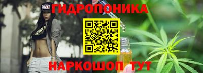 стаф Кунгур