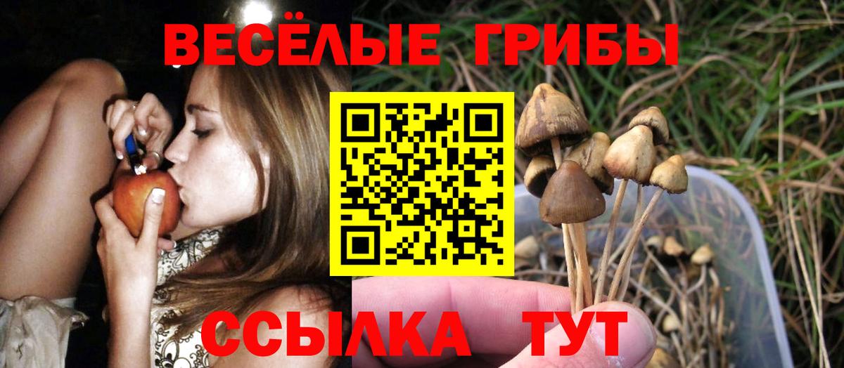 Псилоцибиновые грибы MAGIC MUSHROOMS  Галлюциногенные грибы Magic Shrooms  Вход с VPN  Кимовск 