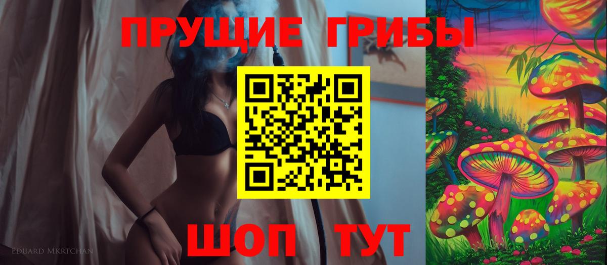 Галлюциногенные грибы Psilocybine cubensis Кимовск